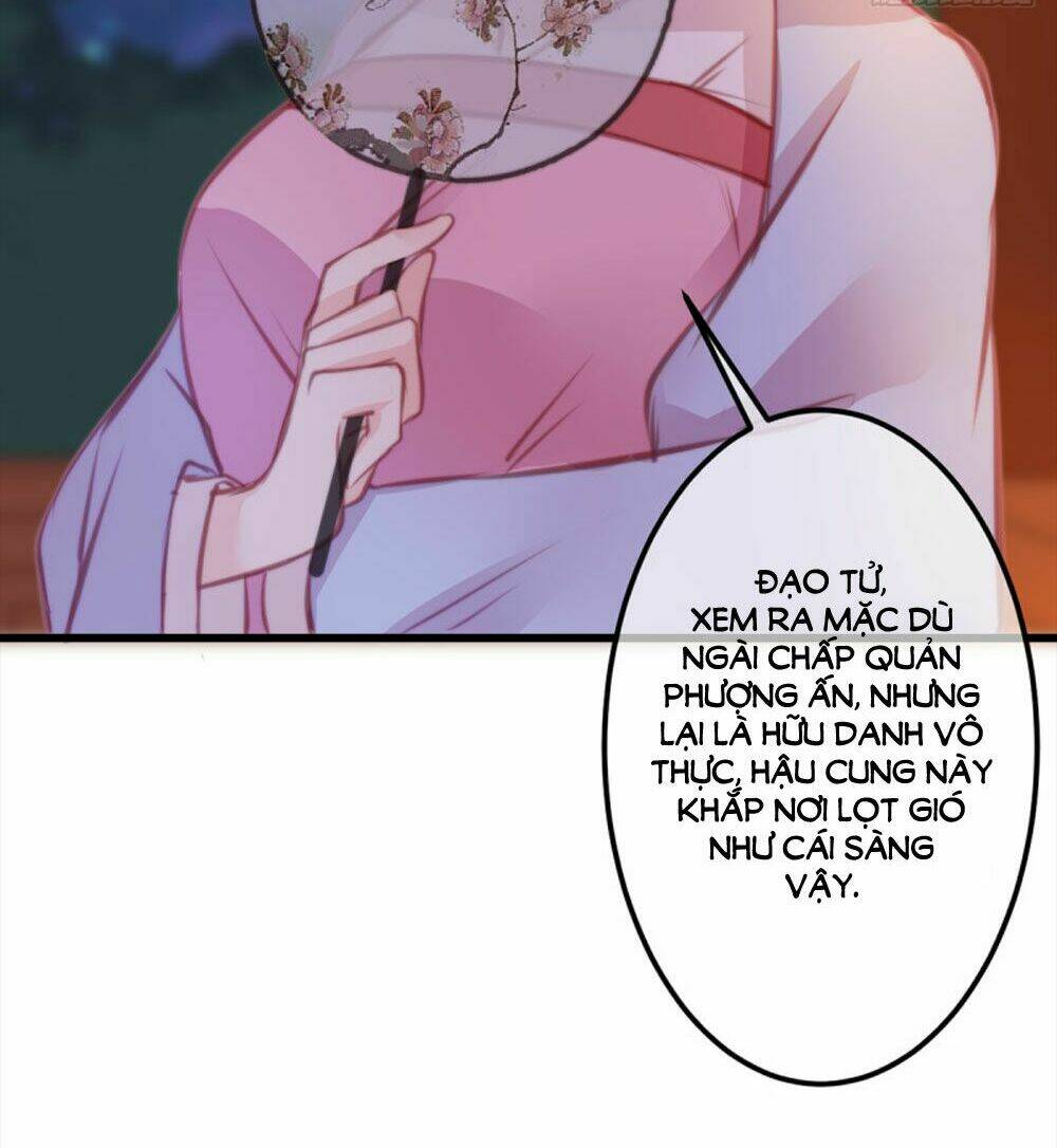 trẫm quyết định giải tán hậu cung chapter 10 28