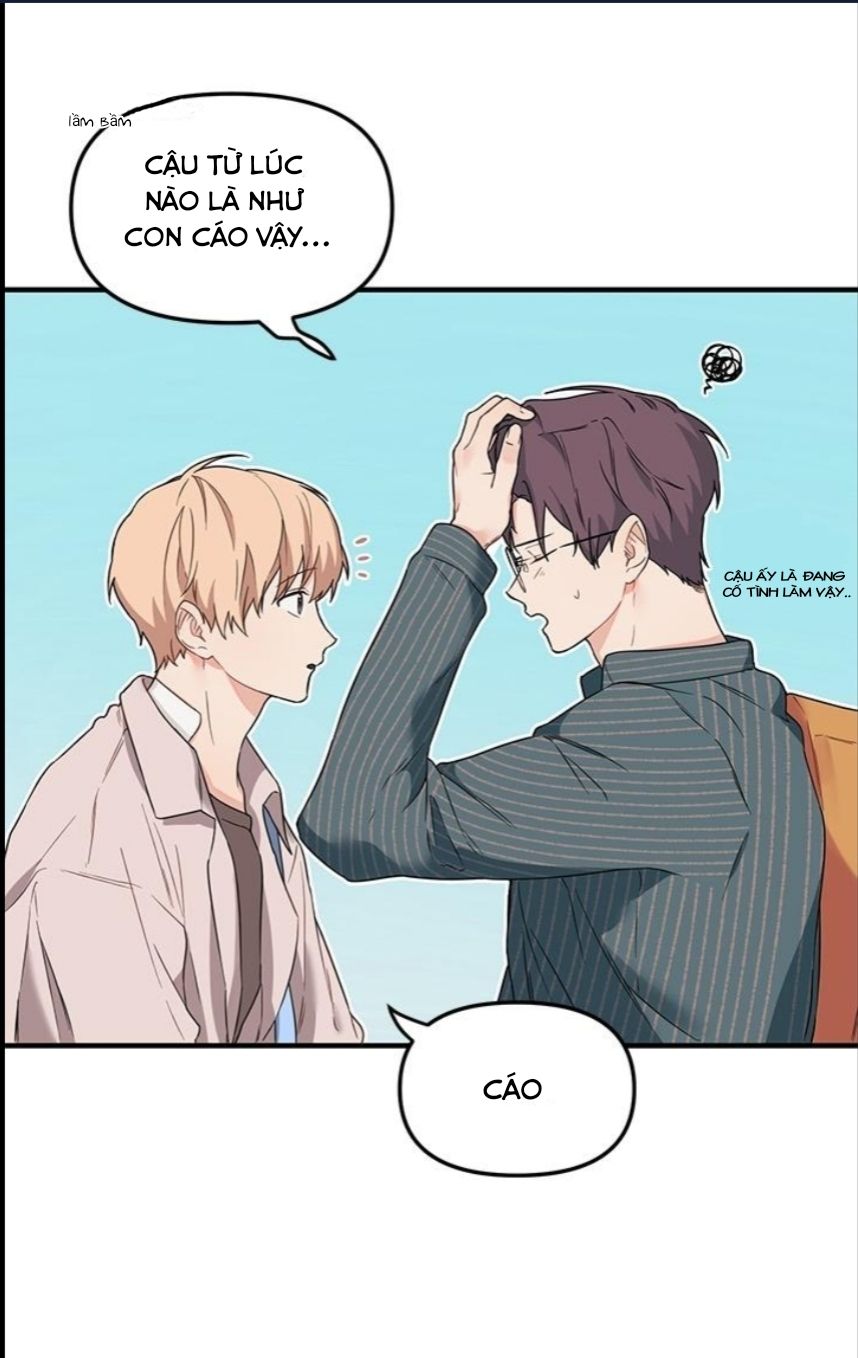 máu và tình yêu chapter 11 25