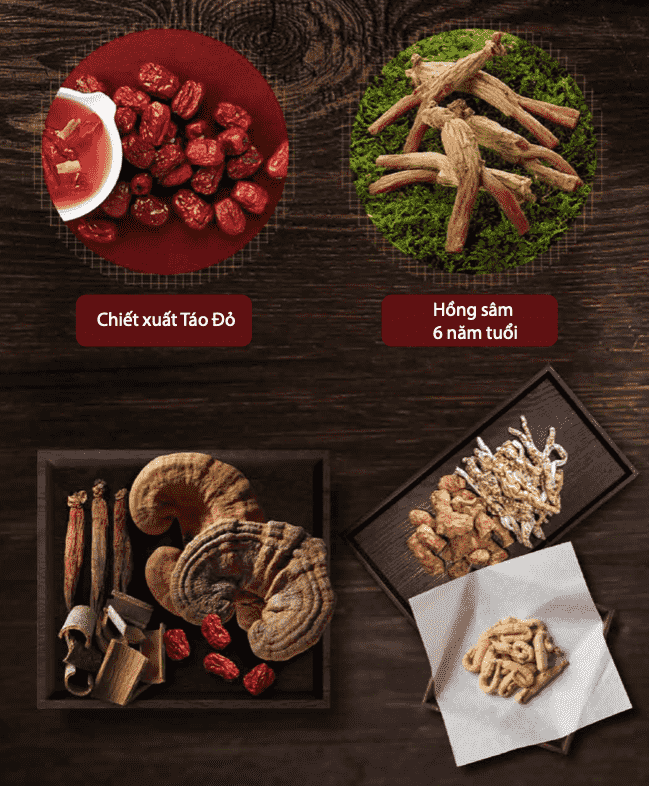 Hồng sâm táo đỏ linh chi Sangsang Jujube