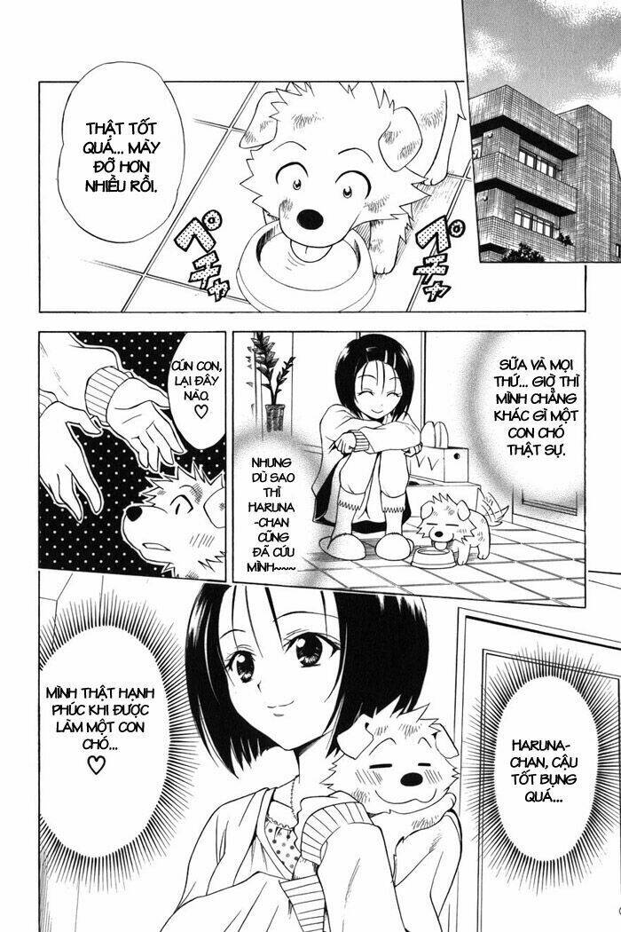 bọn tớ thích cậu! rito chapter 43 18