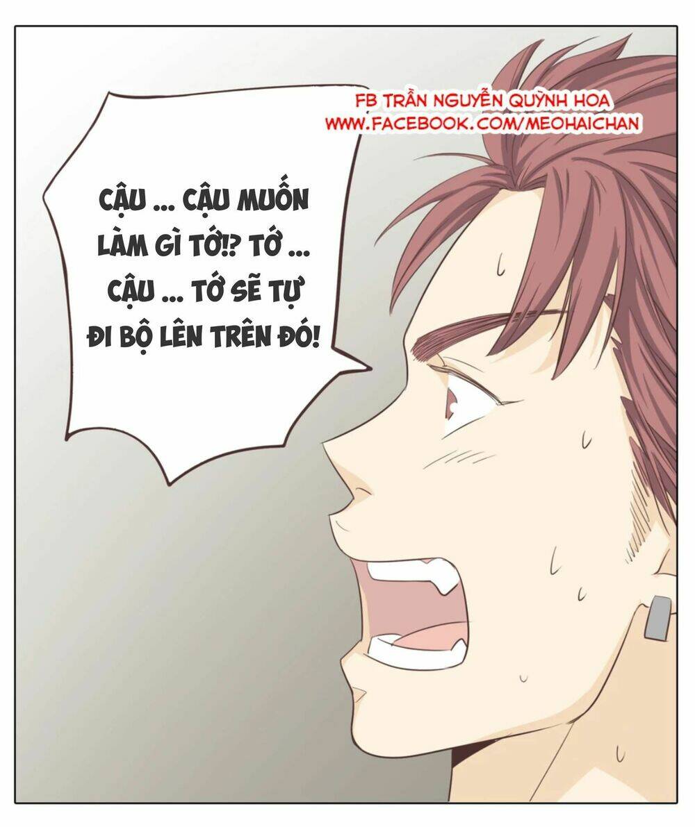 xin chào! dân nữ chapter 31 35