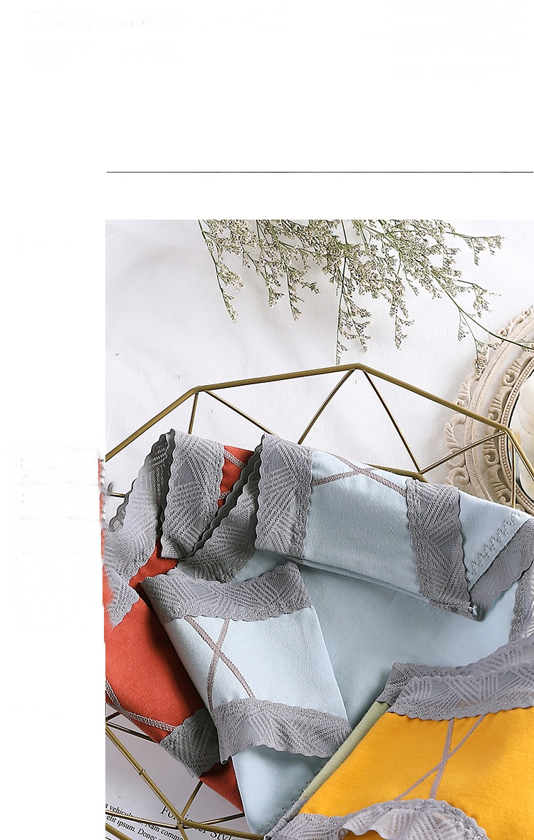 Quần lót cotton cao cấp viền ren to bảng