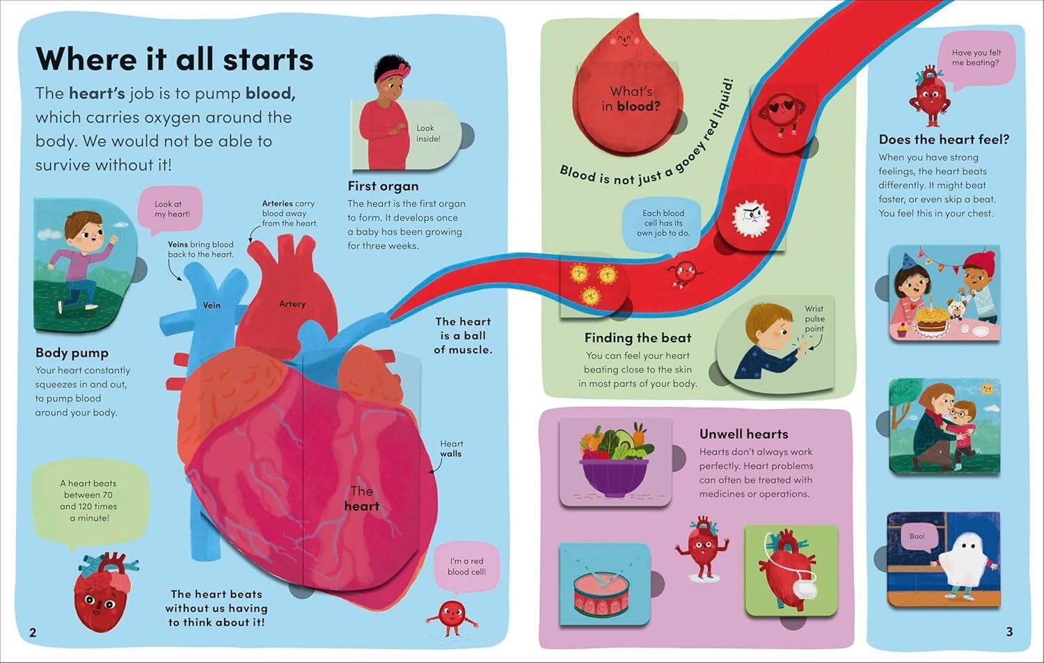 Sách ngoại văn: You And Your Body - A First Look Inside The Human Body