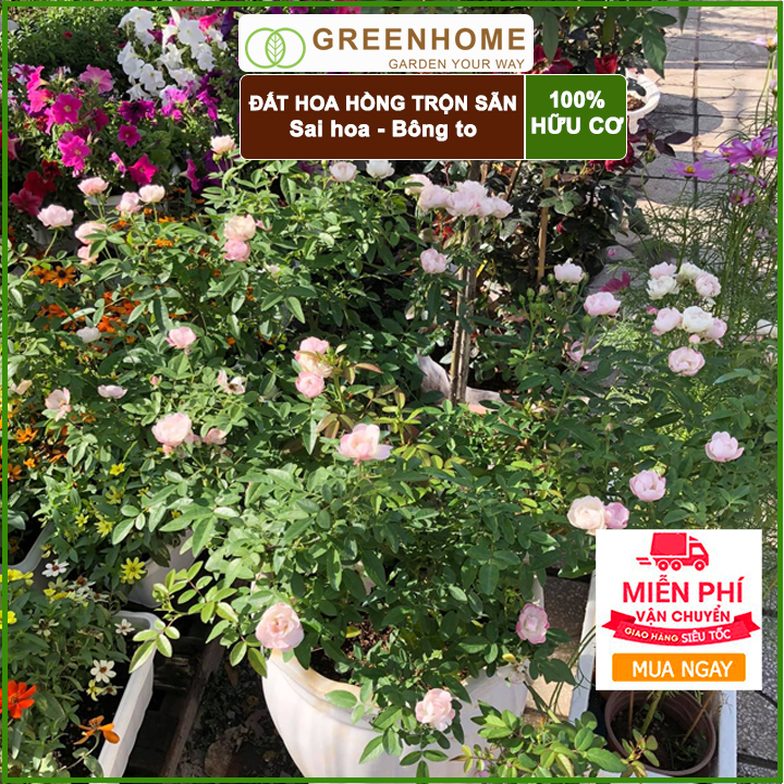 Đất trồng hoa hồng Greenhome- Giúp cây giữ ẩm, các chất dinh dưỡng, hoa hồng phát triển khỏe mạnh-5kg