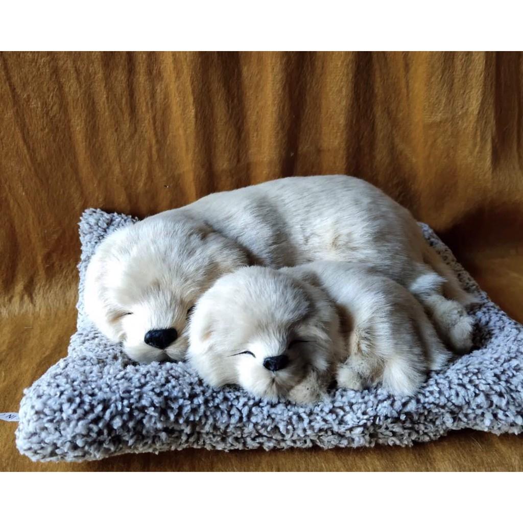 CHÓ BÔNG THAN HOẠT TÍNH TRANG TRÍ Ô TÔ