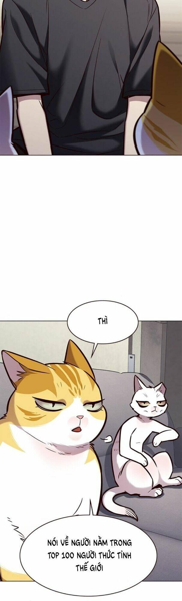 biến thân thành mèo chapter 173 16