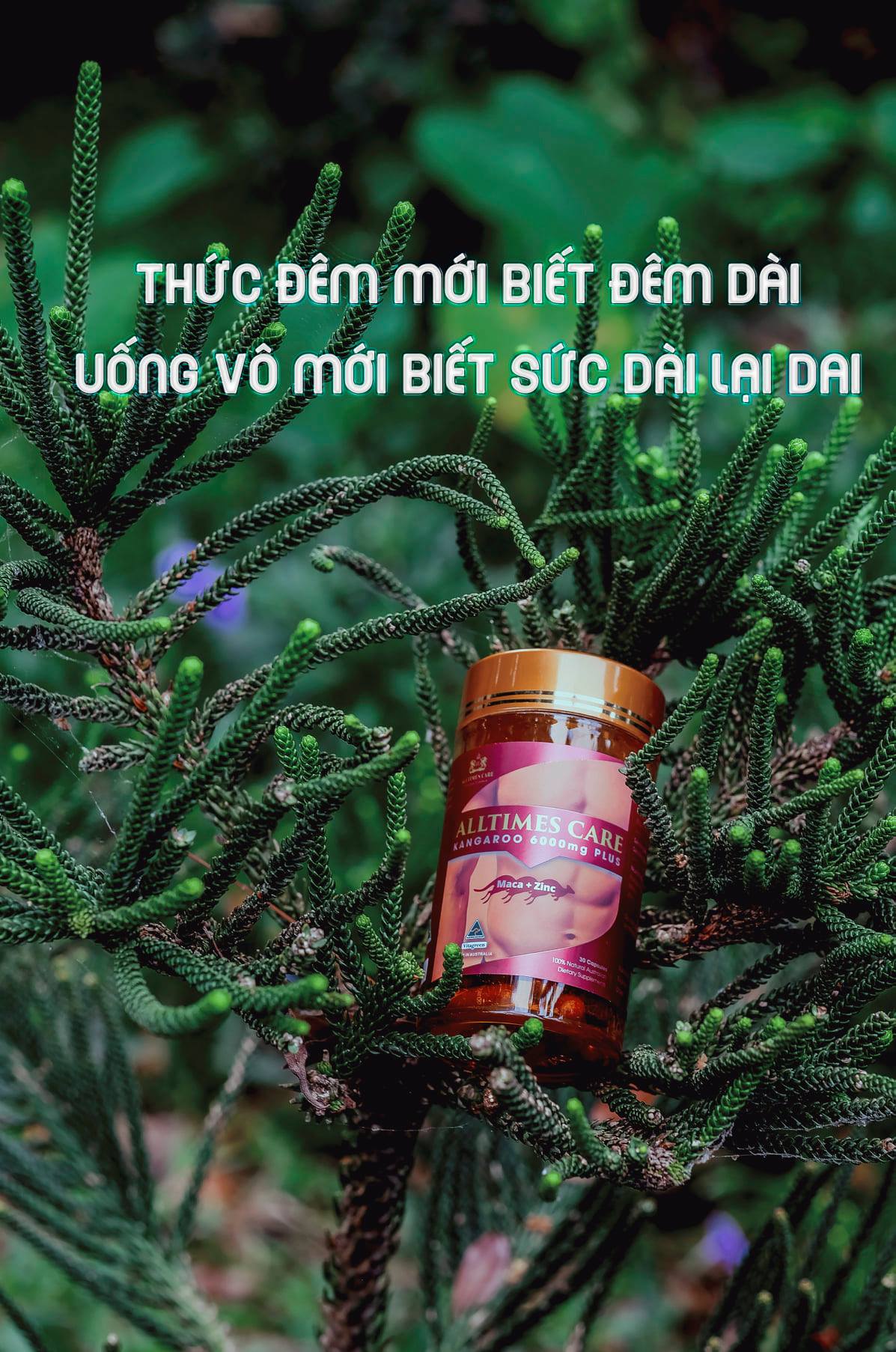 Thực phẩm bảo vệ sức khỏe hỗ trợ tăng cường sinh lực nam giới ALLTIMES CARE KANGAROO 6000mg PLUS