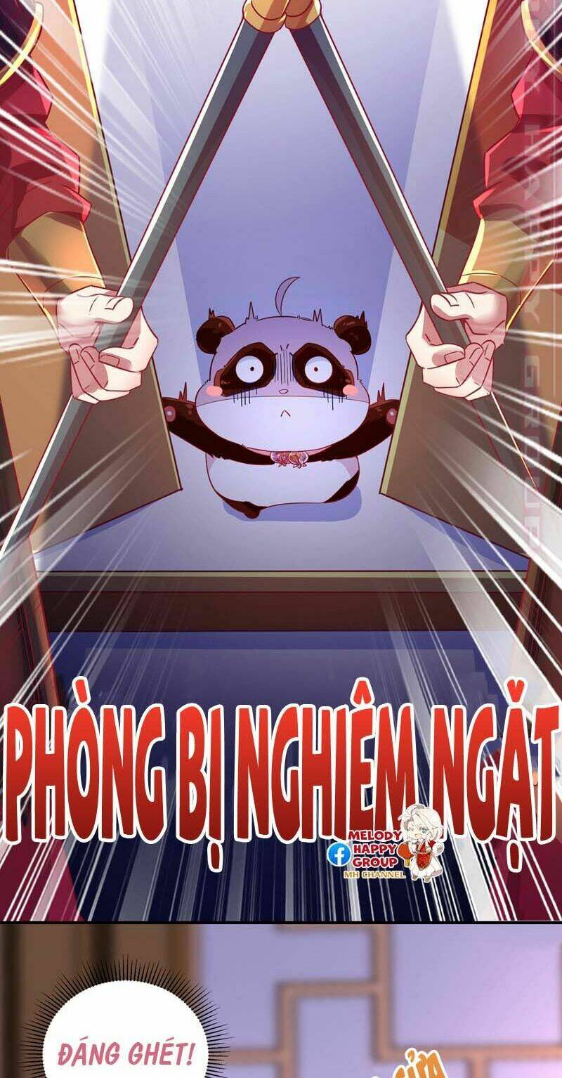 thiên thần gấu trúc muốn được ôm chapter 59 8