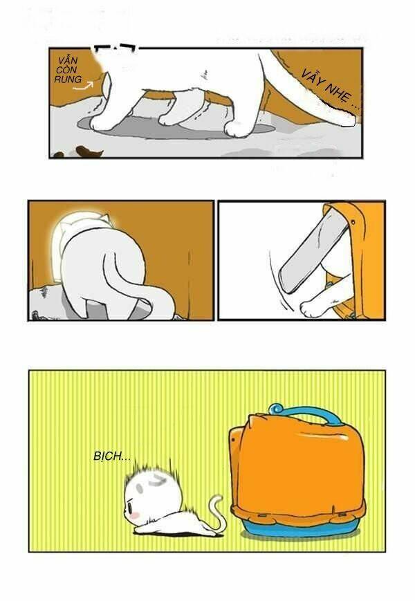 papi nyang chapter 1 17