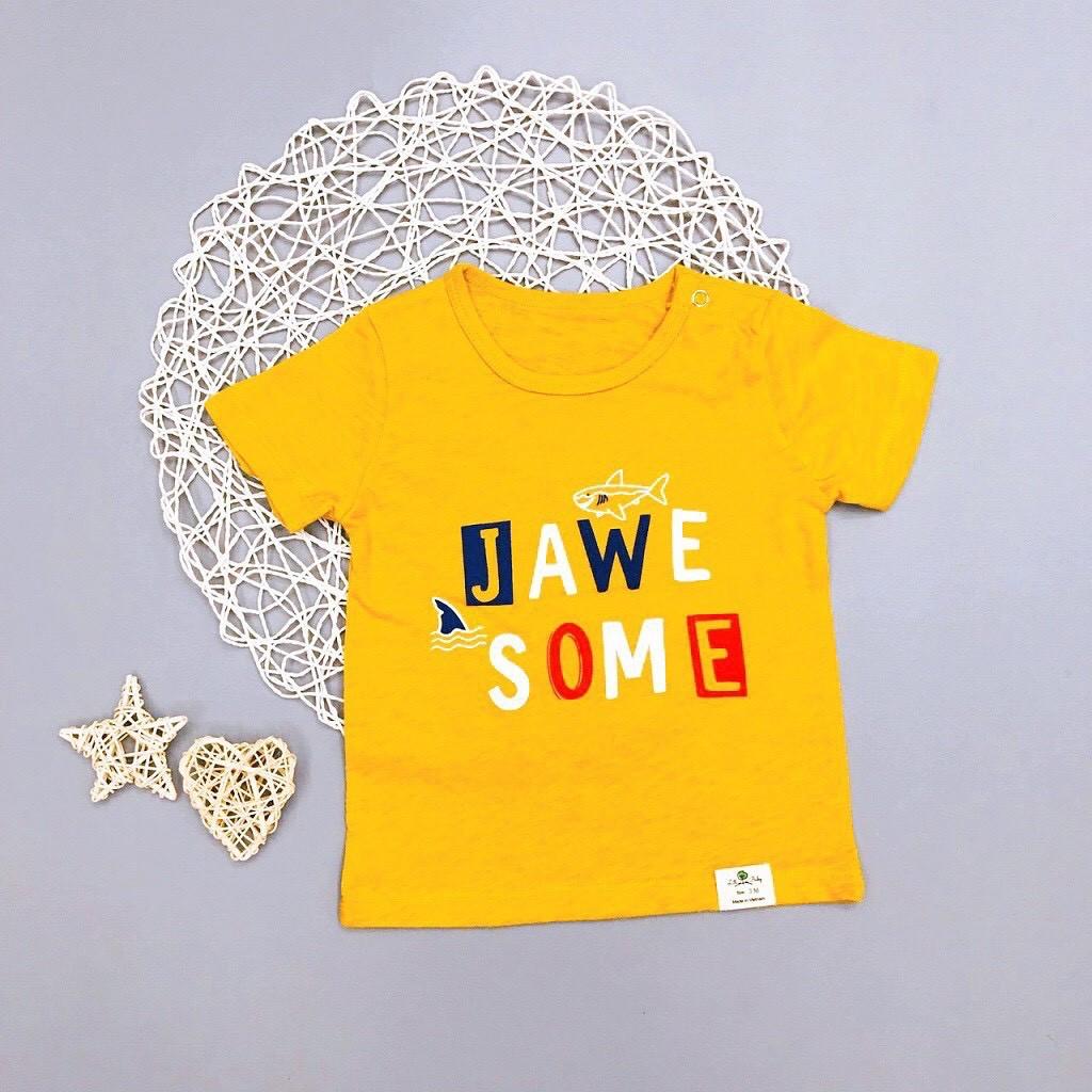 Áo Thun Bé Gái, Size 1-5, Hàng Made In Vn, Chất Cotton Xuất Dư Đẹp, Bấm Khuy Cổ, Màu Sắc Xinh Yêu