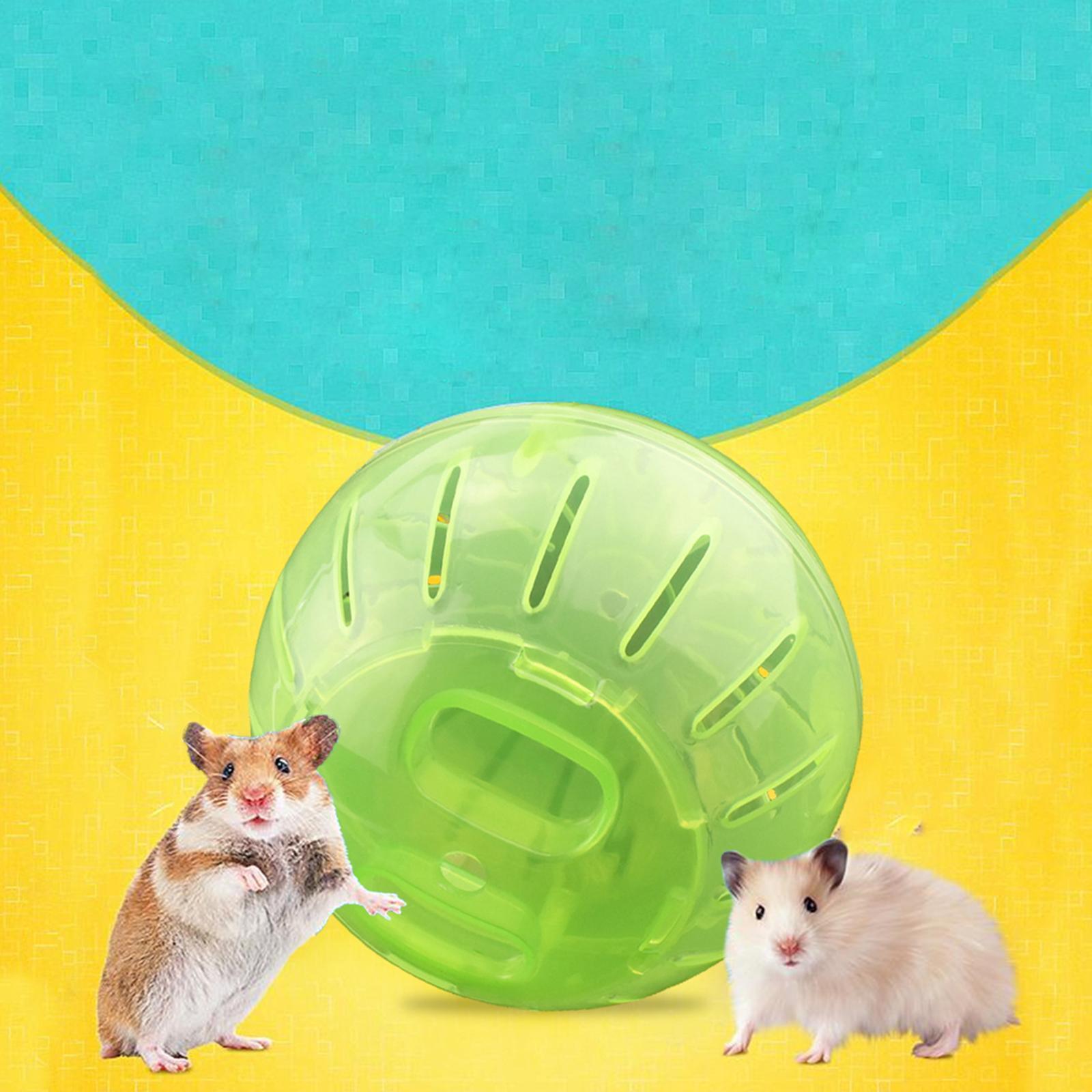 Dwarf Hamster Exercise Ball Cute Hamster for Chinchilla Jogging
