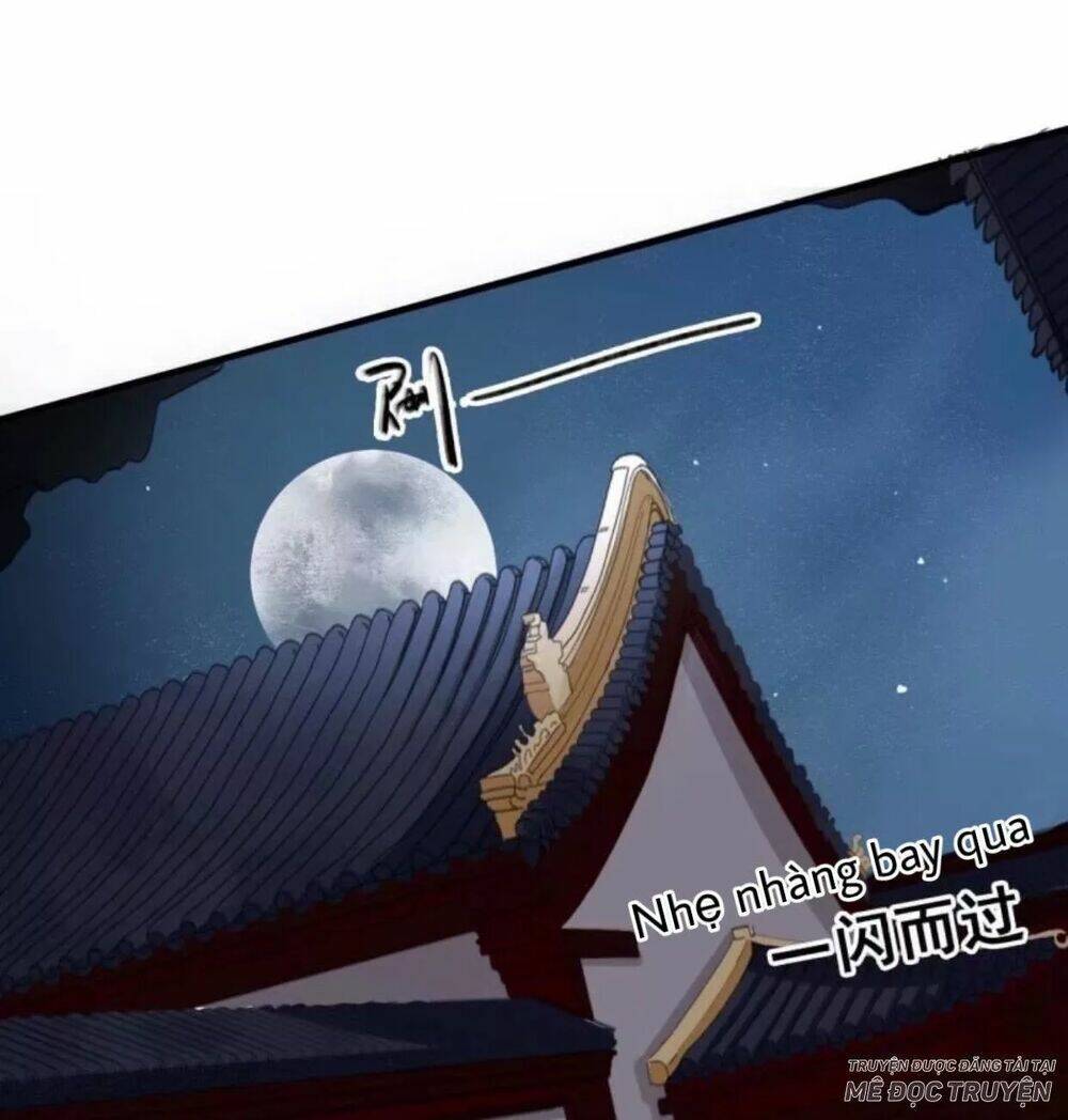 sủng phi của vương chapter 61 14