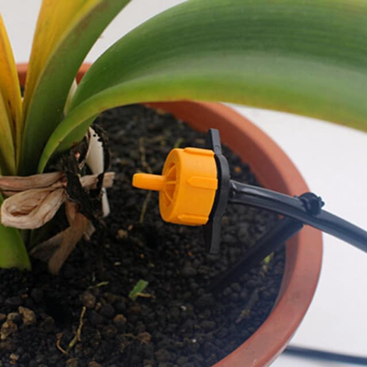 Bộ 10 đầu phun nhỏ giọt 2l/h kết hợp đồng hồ pin