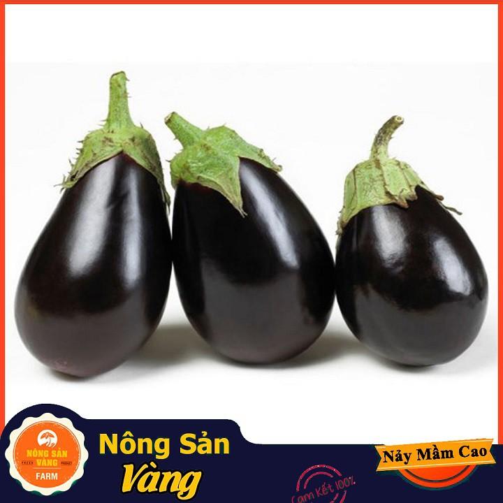 Hạt giống Cà Tím Quả Lê