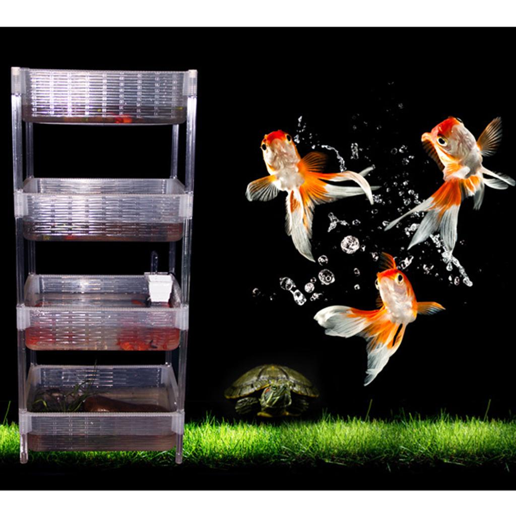 Aquarium Turtle Tank Reptile Habitat For   Tank Reptile Turtle Tortoi