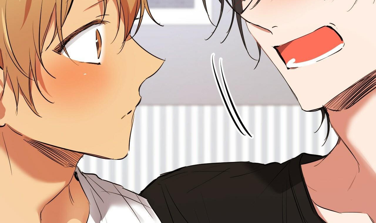 những chú thỏ của hapypy chapter 51 171