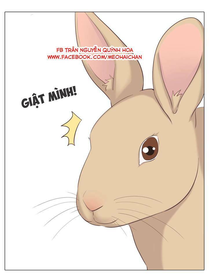 xin chào! dân nữ chapter 29 54