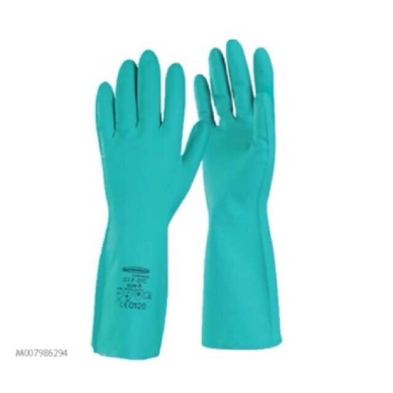 Găng tay cao su Nitrile hàng chuẩn