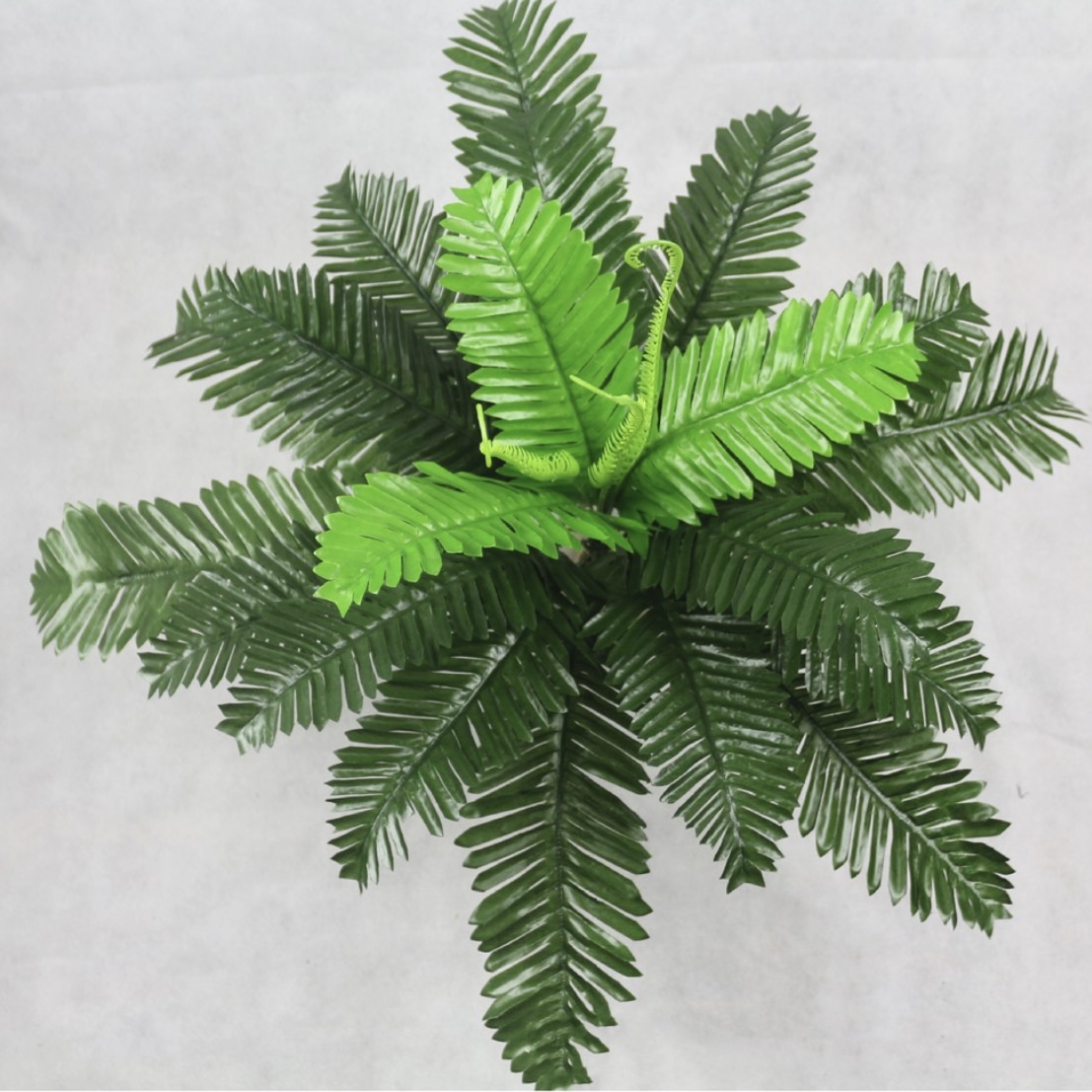 Cây dương xỉ giả giống thật 99% – Đường kính 45 cm – Cây vạn tuế  giả, hoa lụa decor trang trí rẻ, bền, đẹp