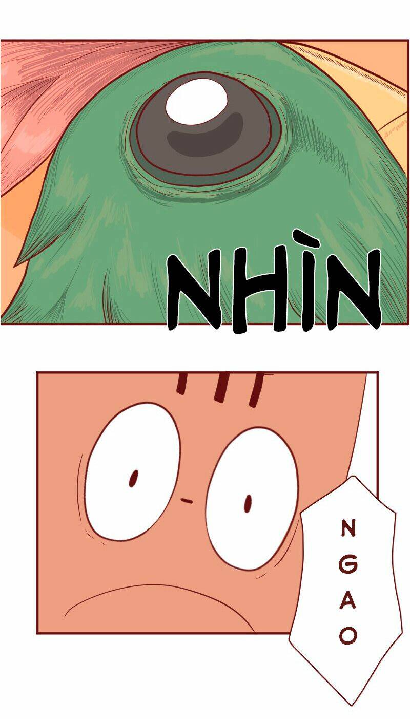 saphie: chú mèo một mắt chapter 5 5