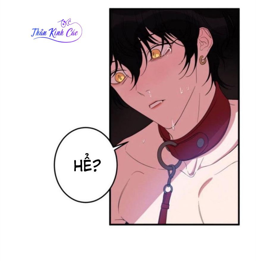 xu hướng tình dục bạn học chapter 7 52