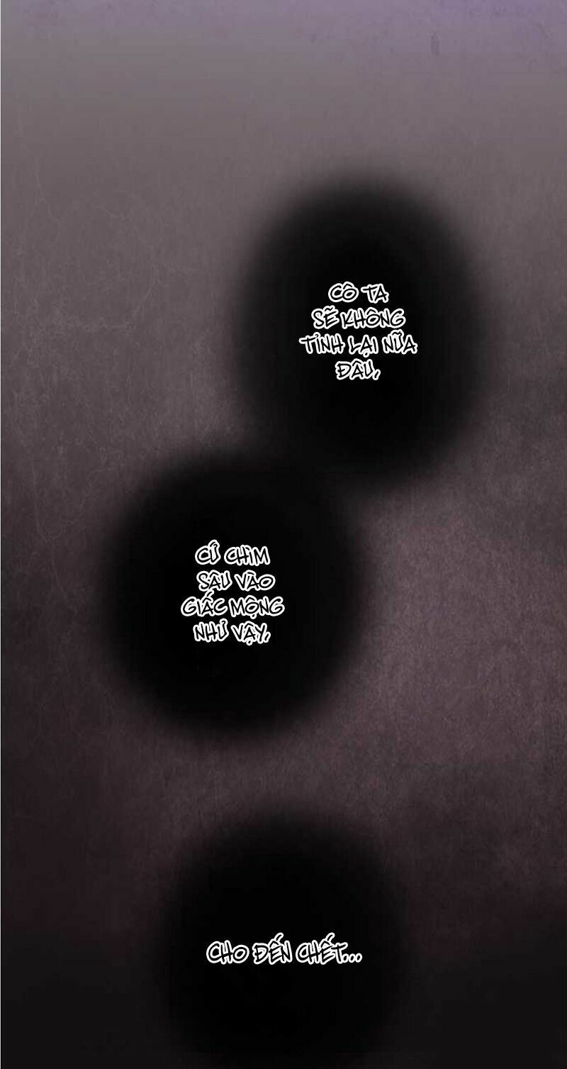 nụ hôn nguyền rủa chapter 109 24