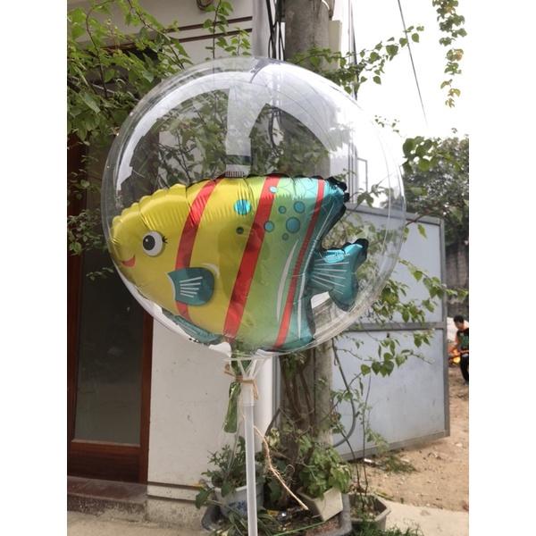Bóng jumbo (trong suốt) size 18&quot; - 36&quot; (Kèm ảnh thật)