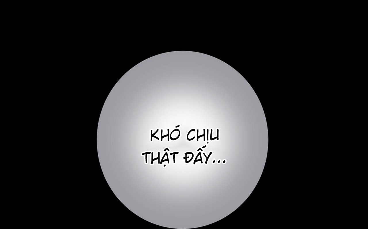 người yêu của anh chapter 11 60