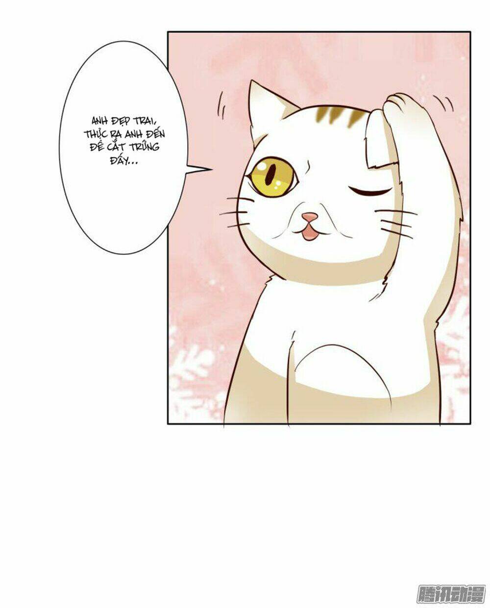 hai chú mèo totem chapter 3 25