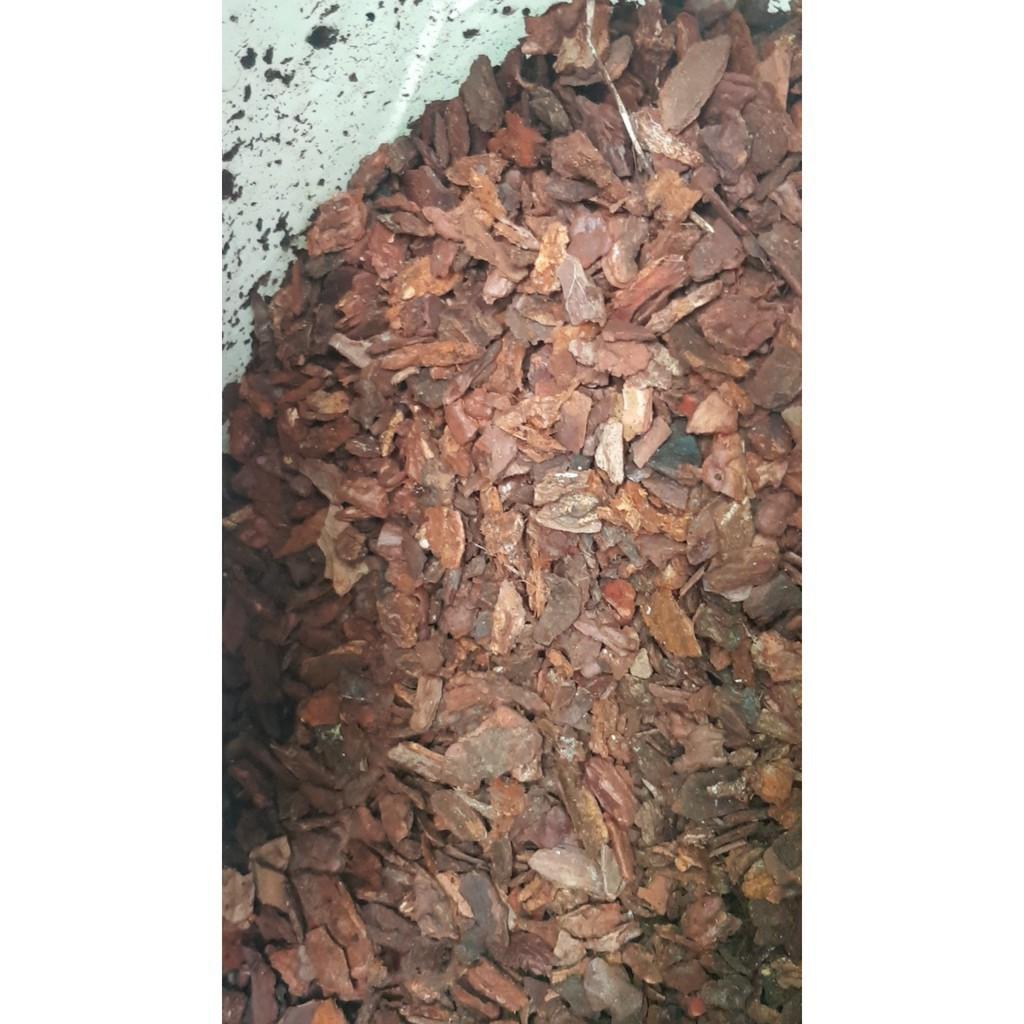 Vỏ thông vụn / Vỏ thông xay gói 1kg