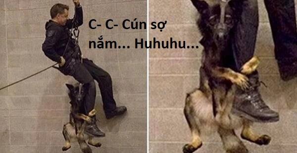 sự lụi tàn của usuzumi chapter 85 81