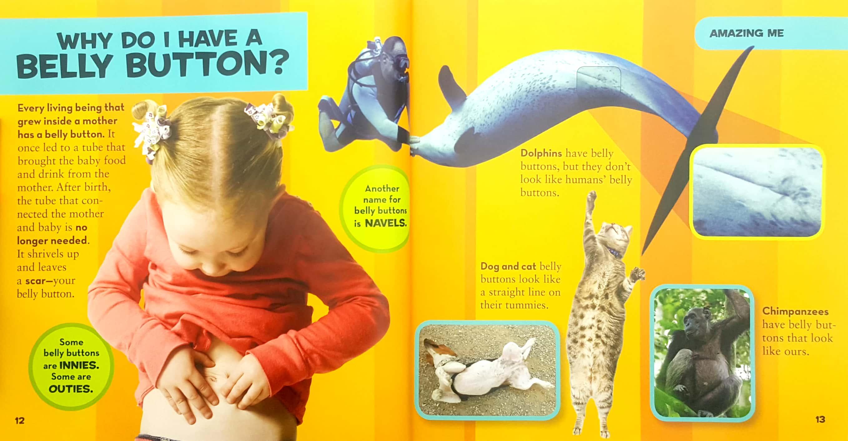 Sách ngoại văn: National Geographic Little Kids First Big Book of Why (National Geographic Little Kids First Big Books)