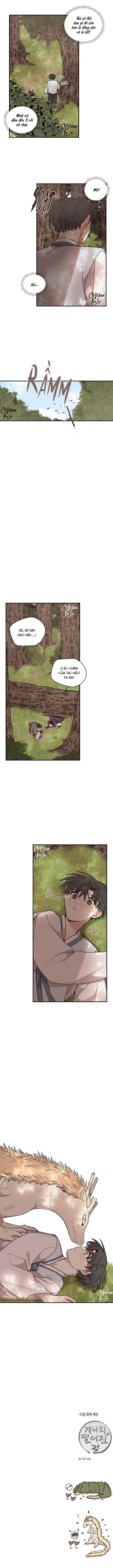 đường hoa liên kiều rơi chapter 48 7