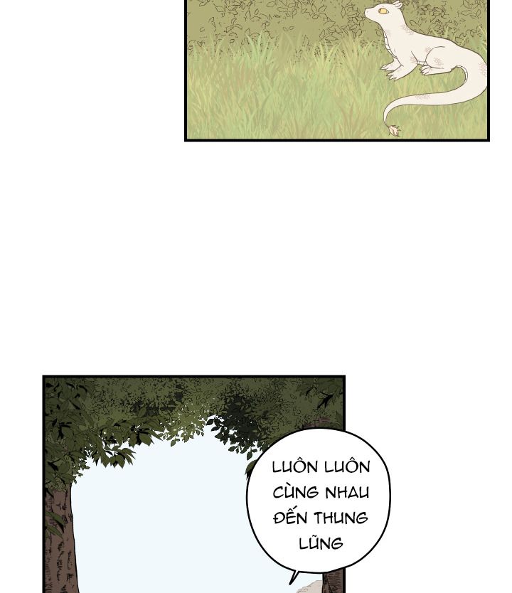 đường hoa liên kiều rơi chapter 27 41