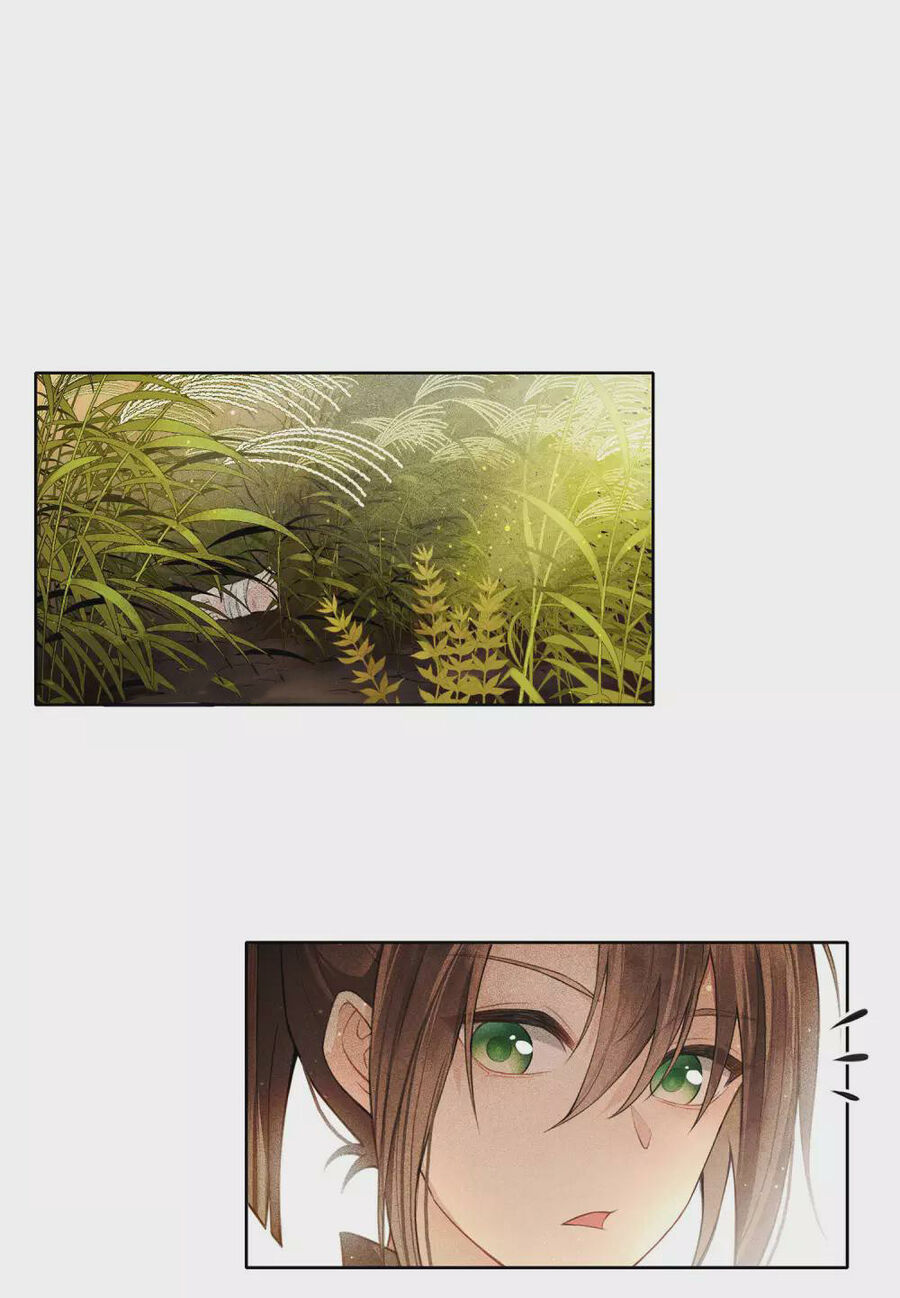 trường tương tư - hoa trà [ oneshot] chapter 1 40