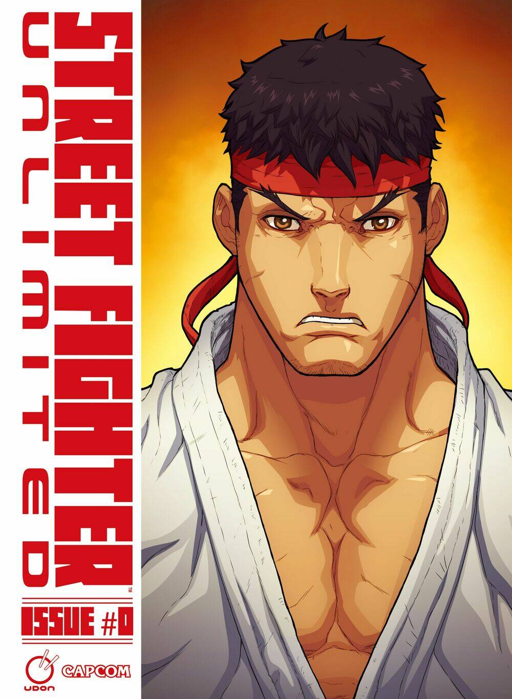 street fighter unlimited chapter 0.1 1