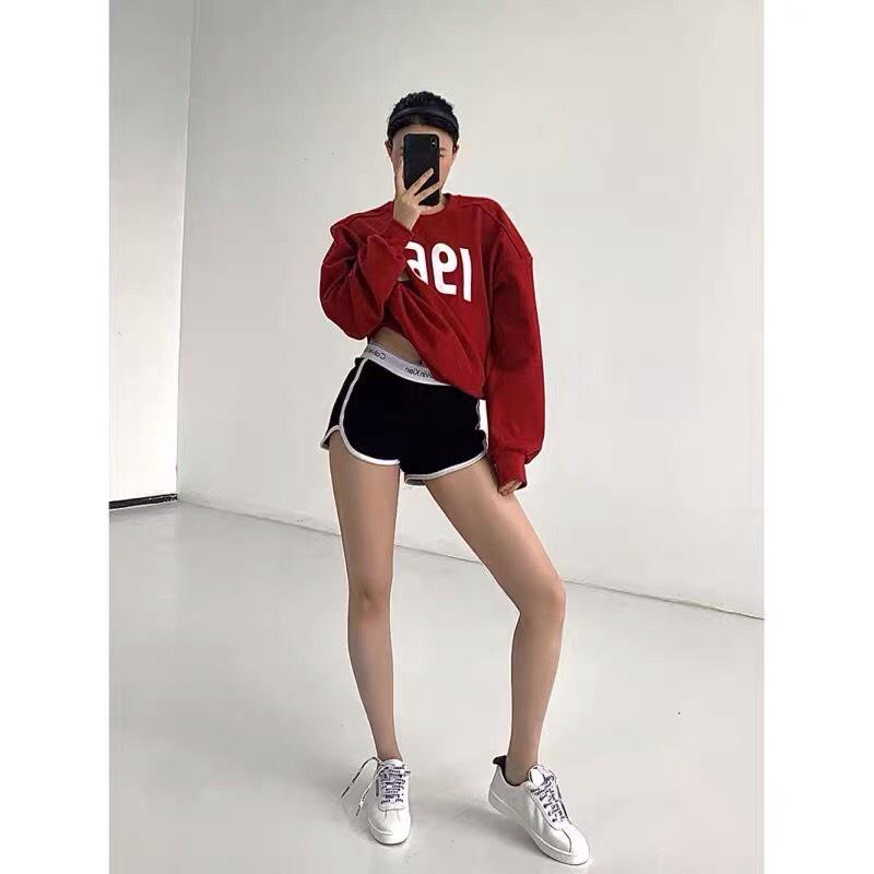 Áo Sweater Nỉ Hàn Quốc Dài Tay Dáng Rộng 1969 Unisex 3 Màu Siêu Xinh