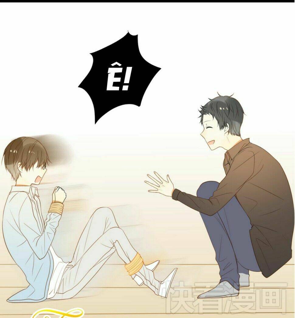 điều giáo quan hệ chapter 11 7