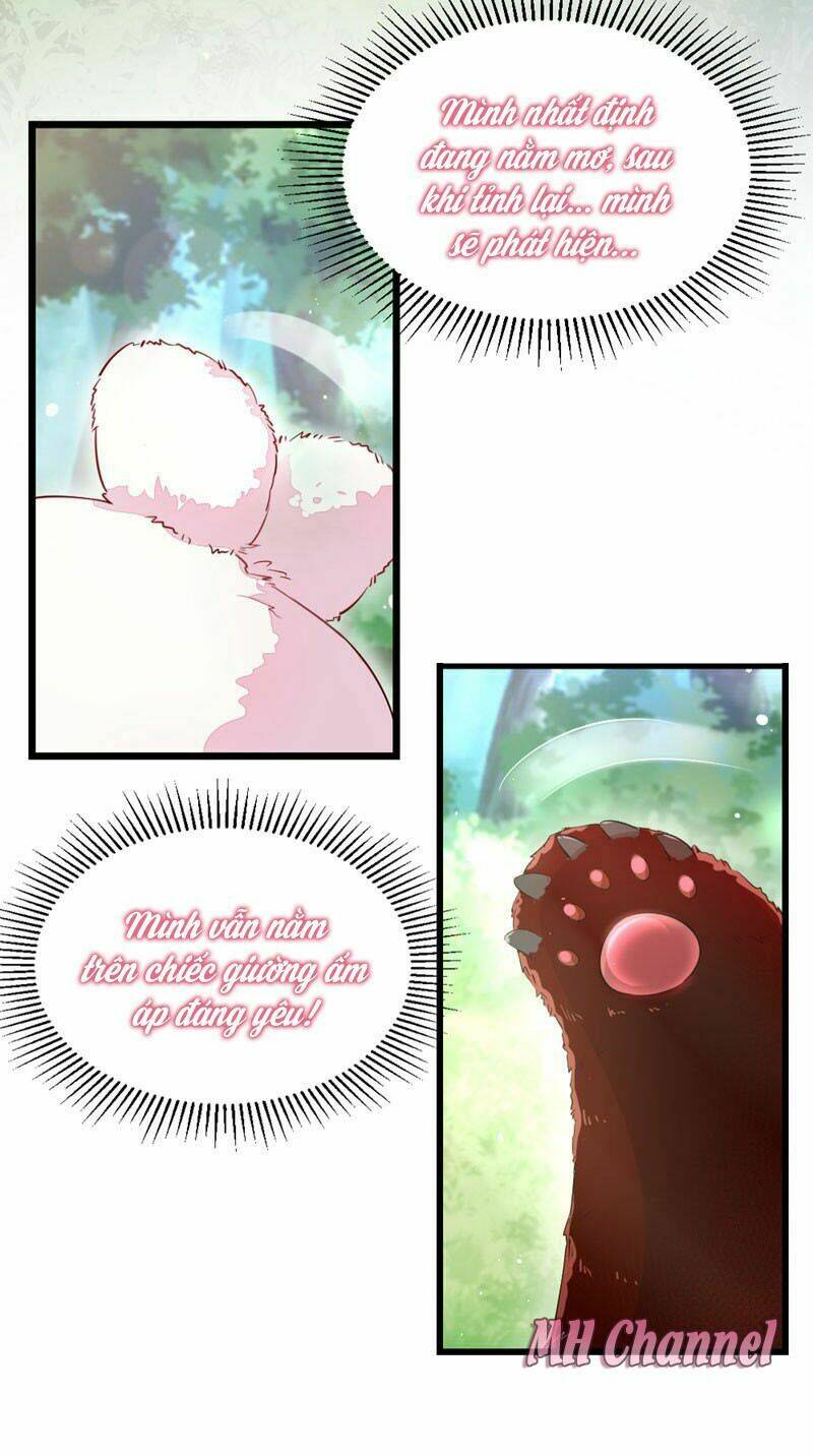 thiên thần gấu trúc muốn được ôm chapter 2 31