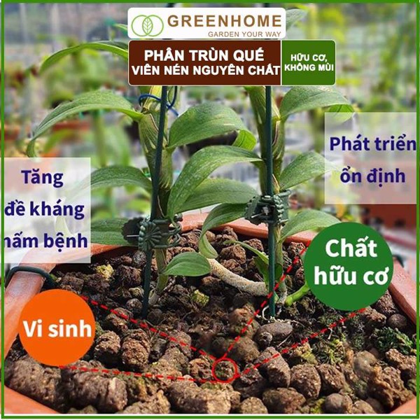 Phân trùn quế viên nén