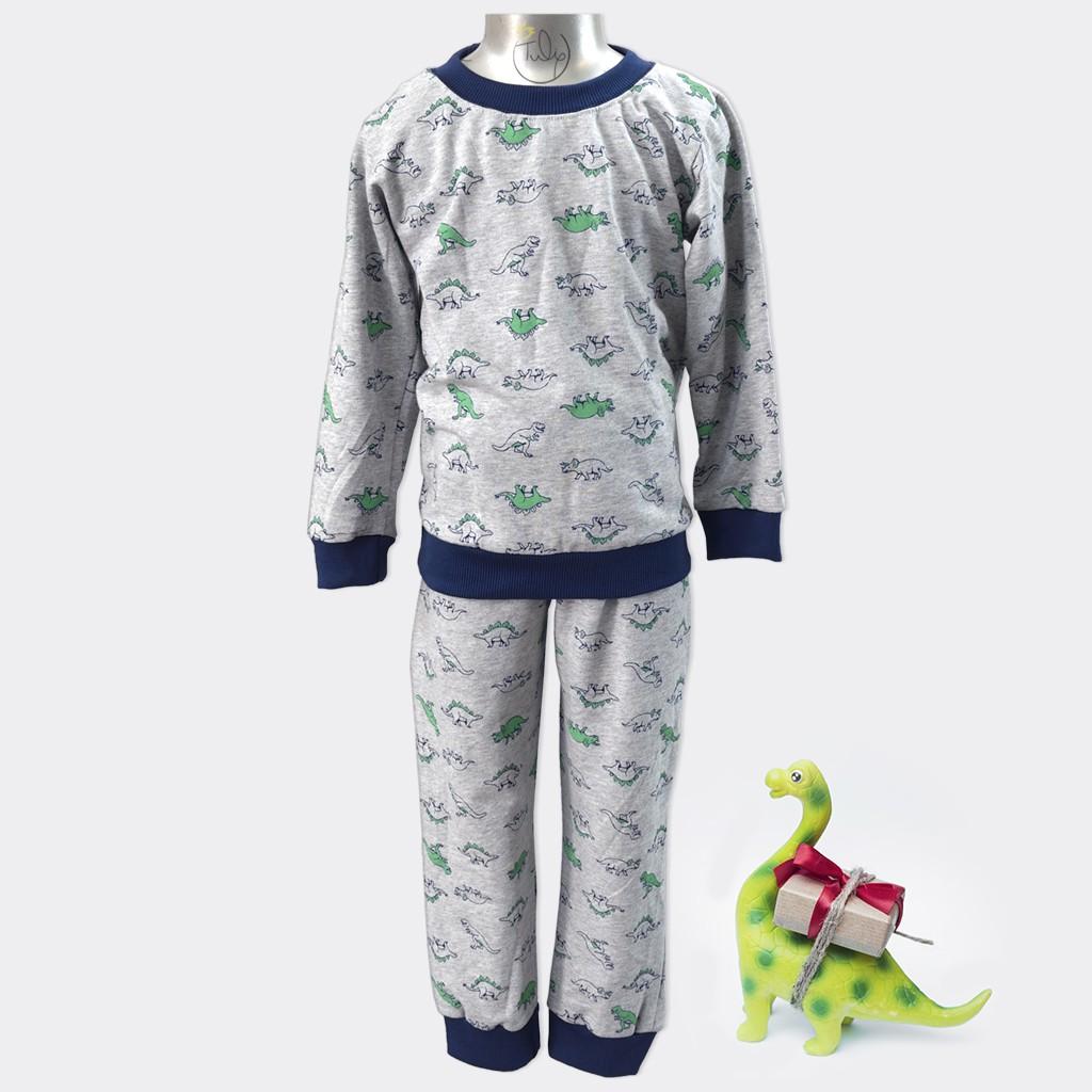 Bộ thun dài tay cho bé trai