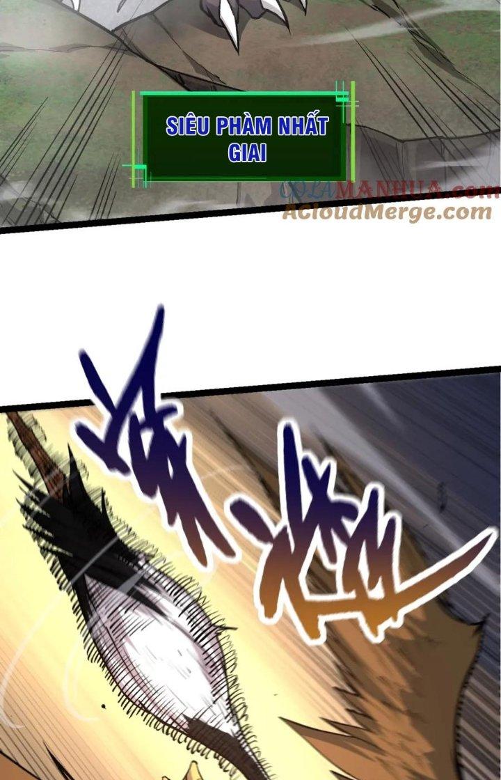 từ cây cổ thụ bắt đầu tiến hóa chapter 72 24