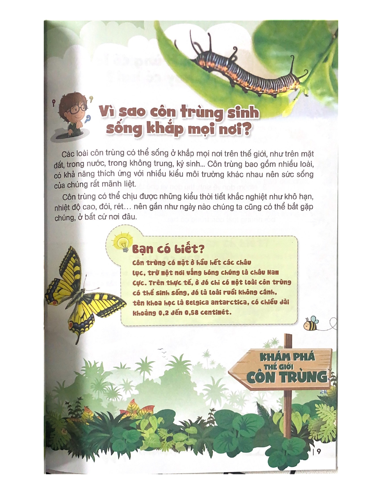 10 Vạn Câu Hỏi Vì Sao? Khám Phá Thế Giới Côn Trùng - Vanlangbooks
