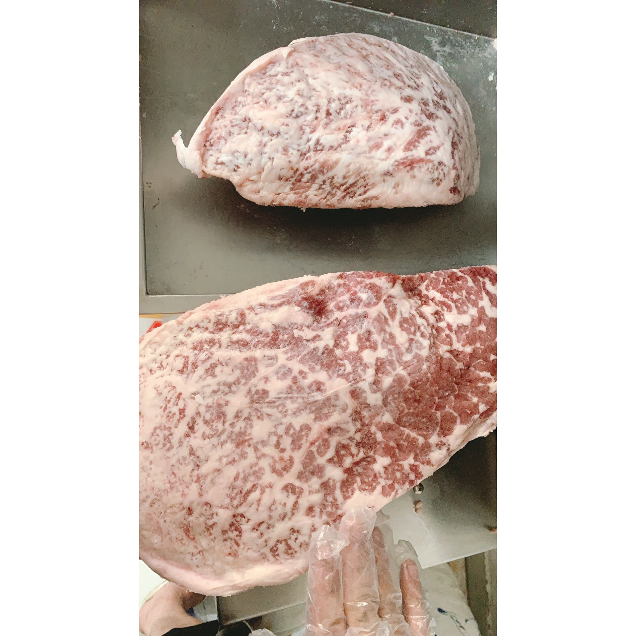 Gù Bò Úc