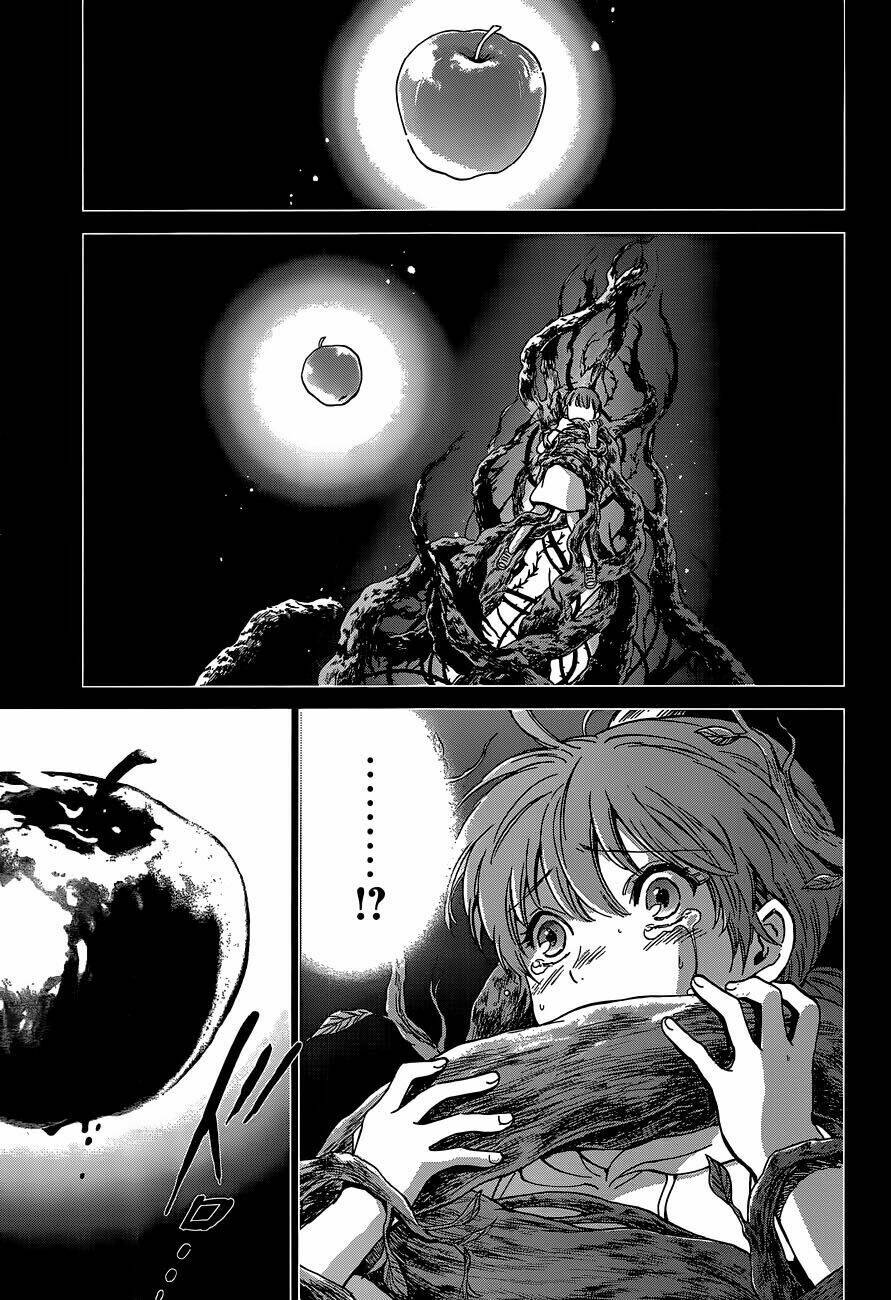 áo giáp vàng: nữ thánh đấu sĩ chapter 1 6