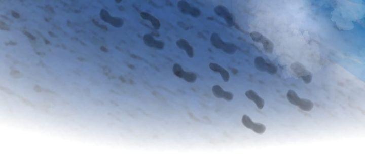 xuyên không làm thái tử phi chapter 14 130