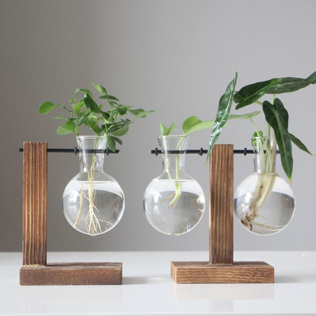 Set Ống Nghiệm Kèm Giá Đỡ Dùng Trồng Cây Thủy Canh Độc Đáo