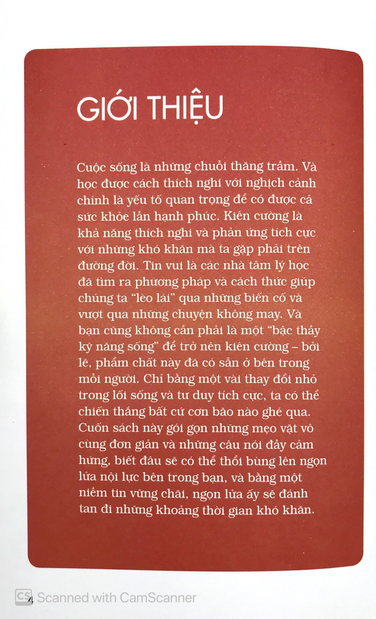 Triết Lý Sống Thế Hệ Z - Kiên Cường Trên Mọi Chiến Trường - Vanlangbooks