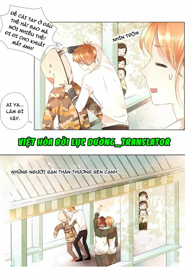 Tình yêu là màu hoa anh thảo chapter 16.3 7