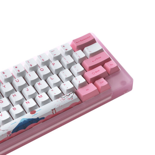 Bàn phím cơ AKKO ACR59 Pink - Hàng Chính Hãng